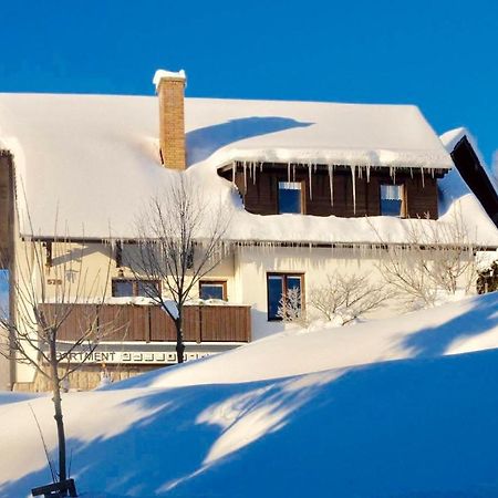 Apartments In Harrachov/Riesengebirge 2300 מראה חיצוני תמונה