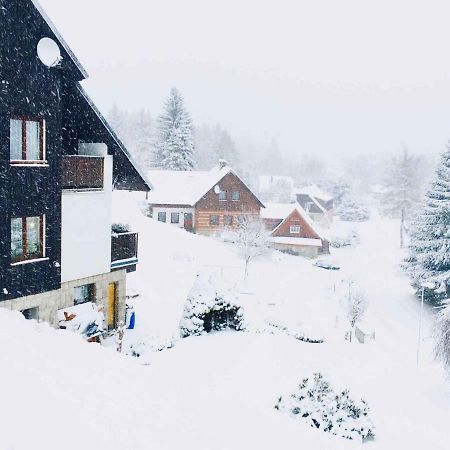Apartments In Harrachov/Riesengebirge 2300 מראה חיצוני תמונה