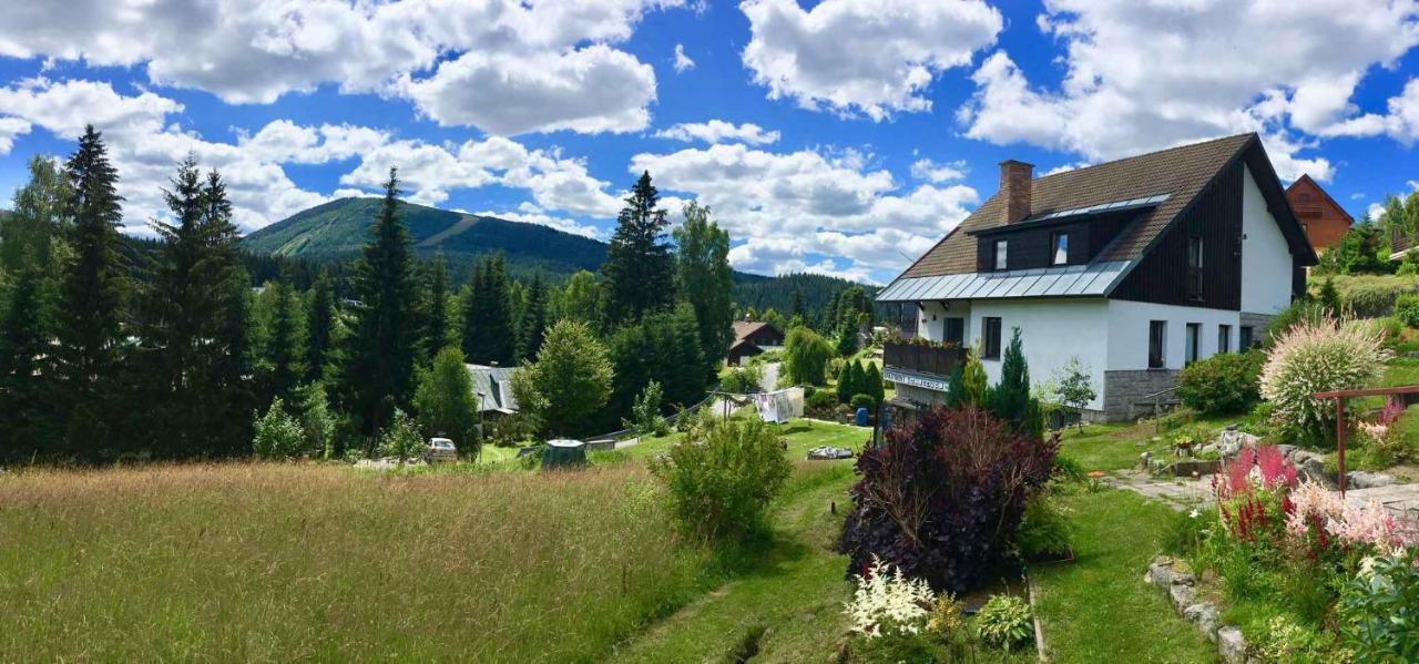 Apartments In Harrachov/Riesengebirge 2300 מראה חיצוני תמונה