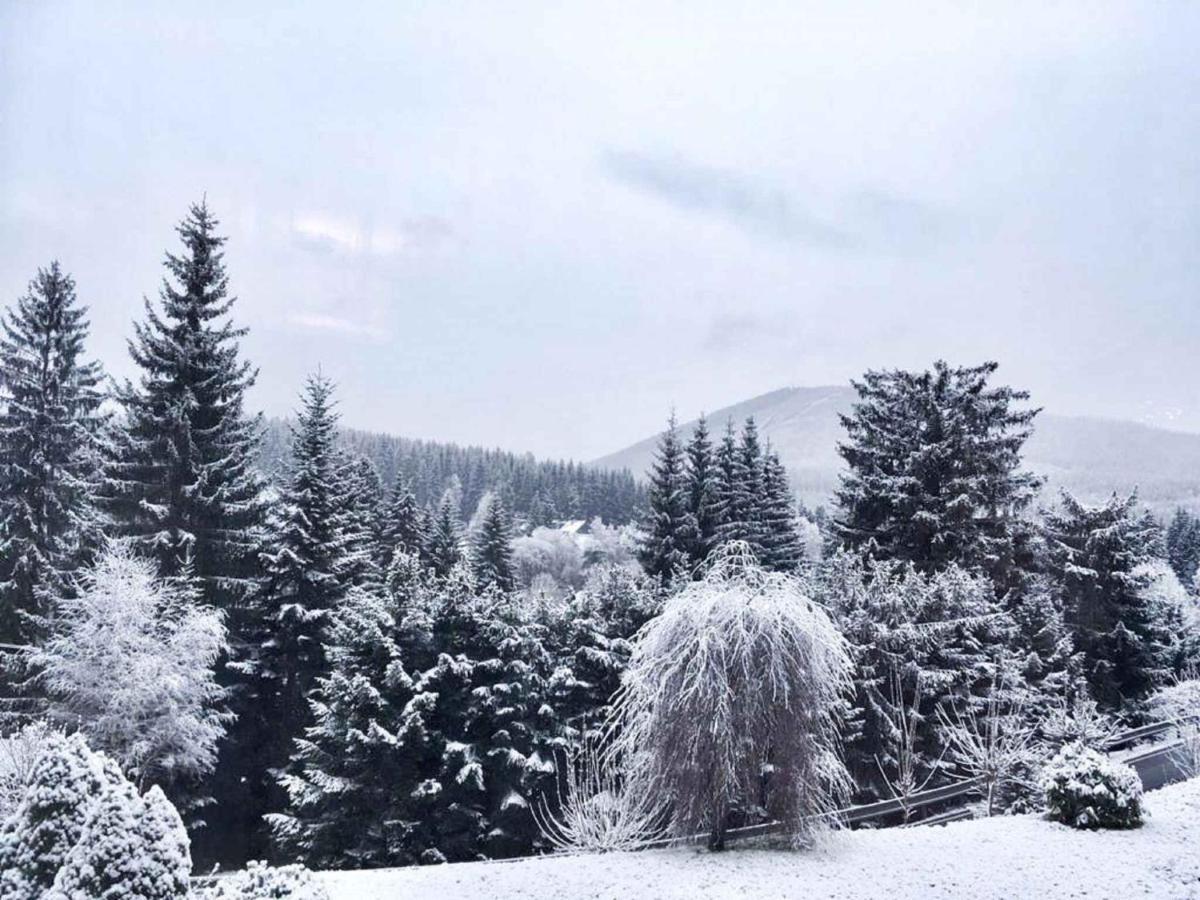 Apartments In Harrachov/Riesengebirge 2300 מראה חיצוני תמונה